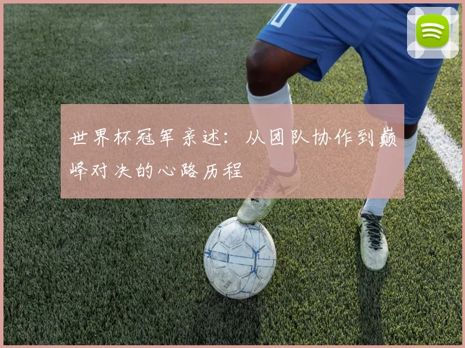 世界杯冠军亲述:从团队协作到巅峰对决的心路历程