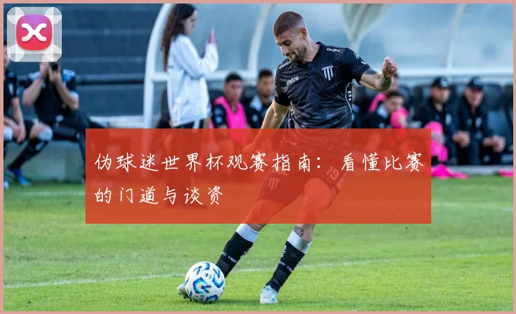 伪球迷世界杯观赛指南：看懂比赛的门道与谈资