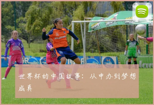 世界杯的中国故事：从申办到梦想成真
