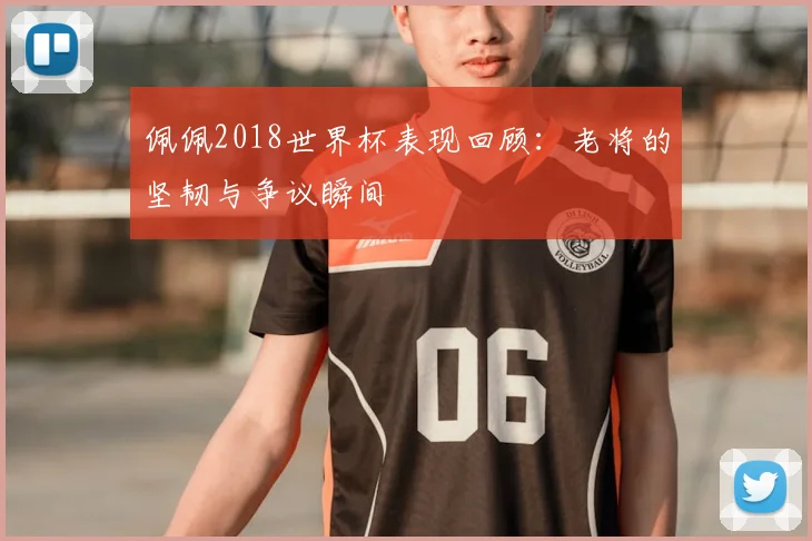 佩佩2018世界杯表现回顾:老将的坚韧与争议瞬间