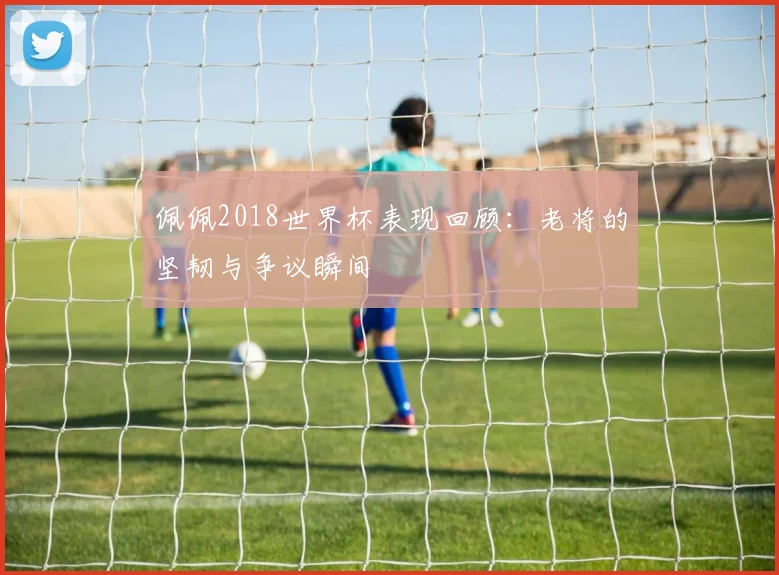 佩佩2018世界杯表现回顾:老将的坚韧与争议瞬间