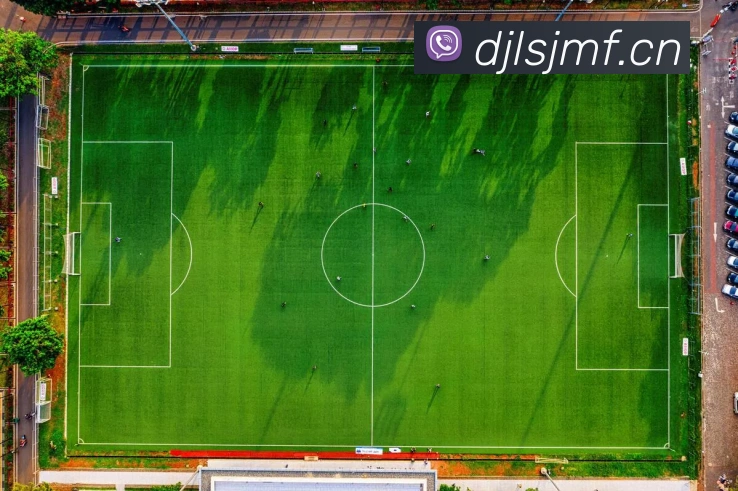 开云kaiyun体育app入口登录官网平台生态图