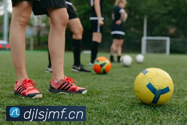 开云kaiyun体育app入口登录官网APP 封面图